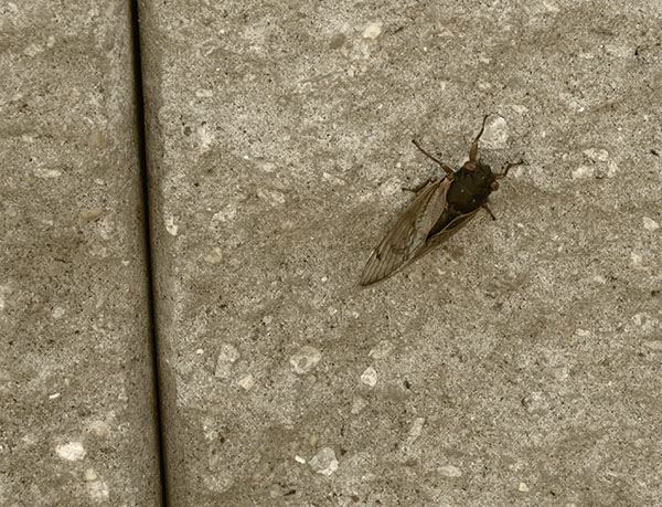 Lake Jackson Waterfront
