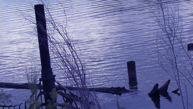 Lake Jackson Waterfront
